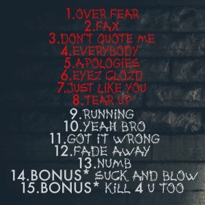 DJ CLAY - Over the Fear of... (L.P) DIGITAL DOWNLOAD 2